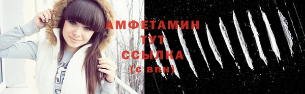 прущие грибы Армянск