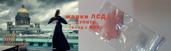 стафф Арсеньев