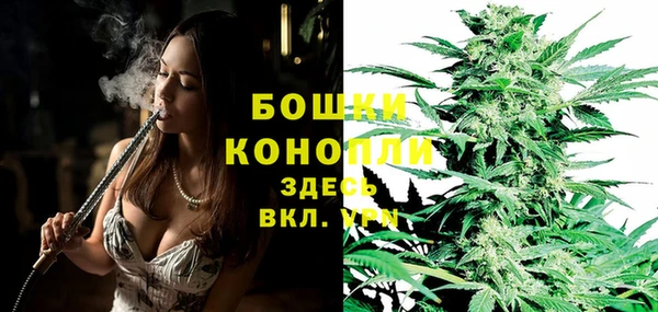прущие грибы Армянск