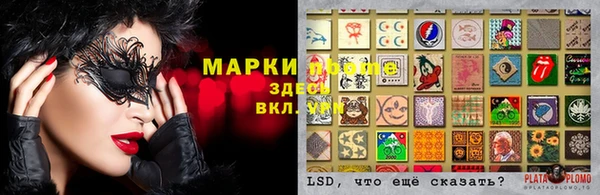 стафф Арсеньев