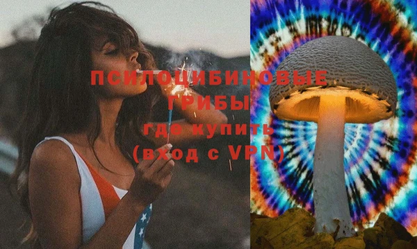 стафф Арсеньев