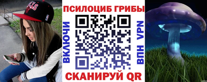 Галлюциногенные грибы ЛСД  дарнет шоп  Острогожск 
